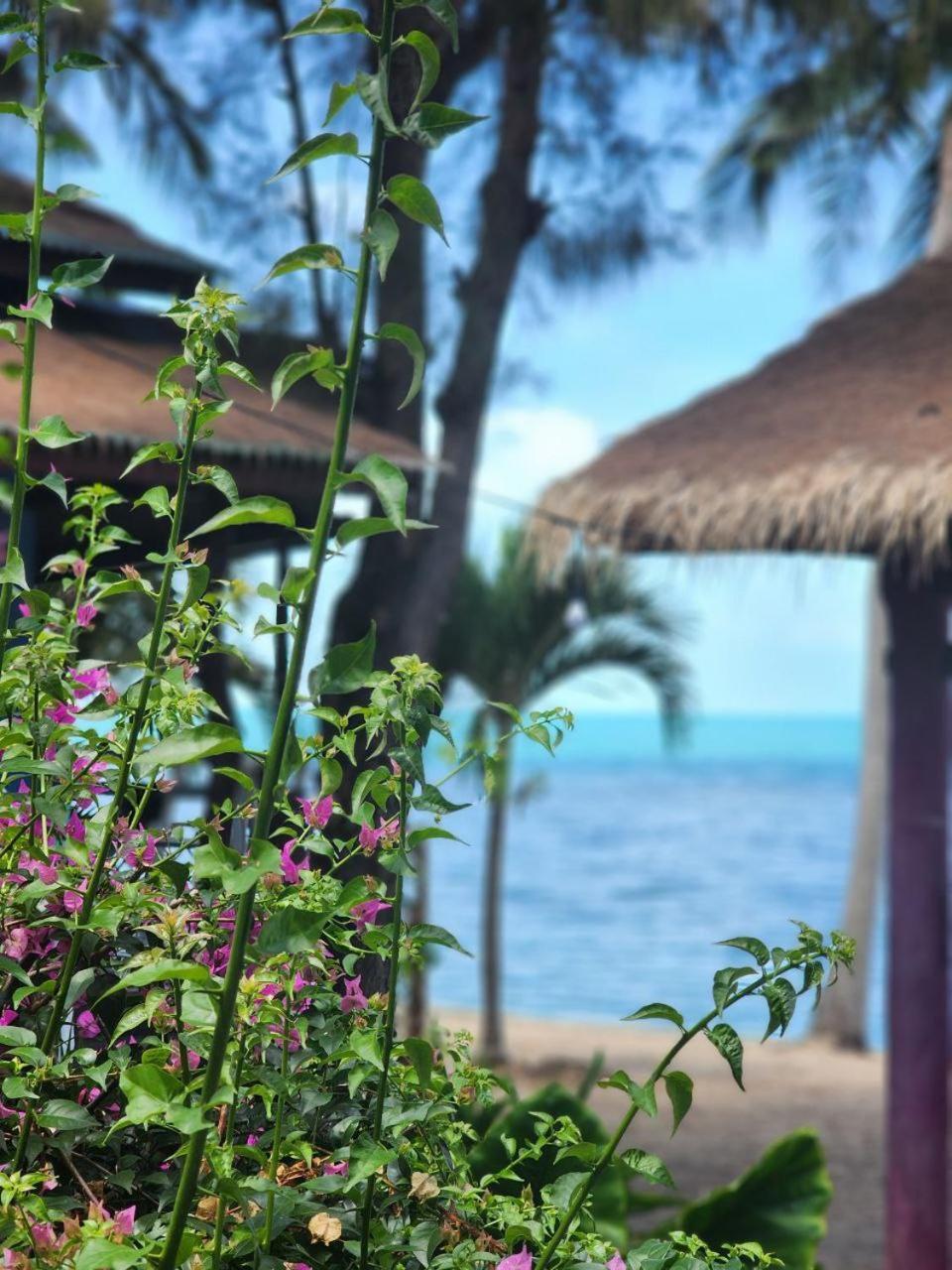 A Little Bungalows By Beach Amphoe Koksamui Bagian luar foto